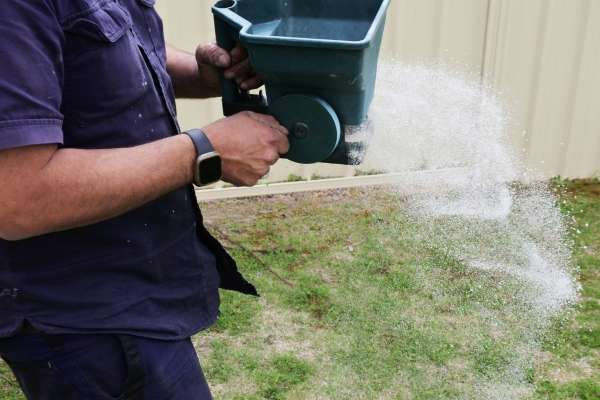 fertilising lawn after mowing