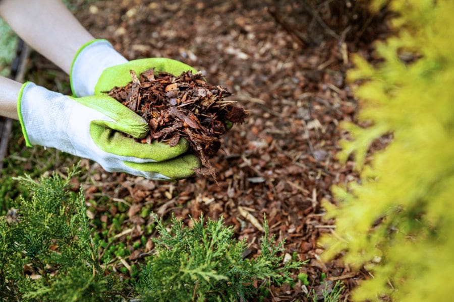 leaf mulching